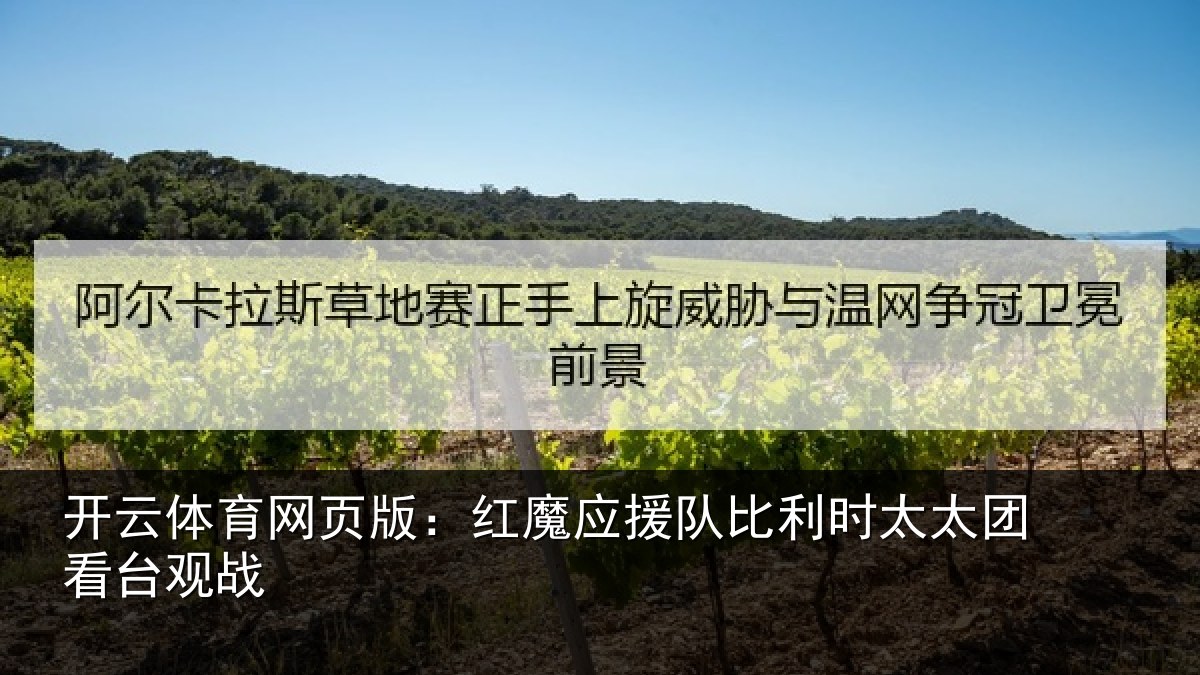 开云体育网页版：红魔应援队比利时太太团看台观战