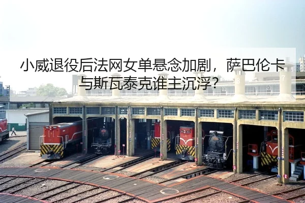 xiao-wei-tui-yi-hou-fa-wang-nv-dan-xuan-nian-jia-ju-sa-ba-lun-ka-yu-si-wa-tai-ke-shui-zhu-chen-fu-3-569.jpg