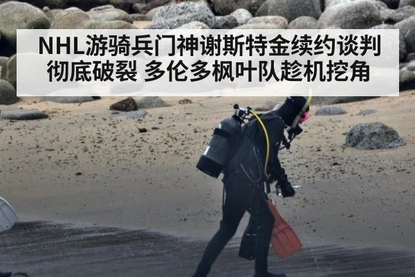 NHL游骑兵门神谢斯特金续约谈判彻底破裂 多伦多枫叶队趁机挖角
